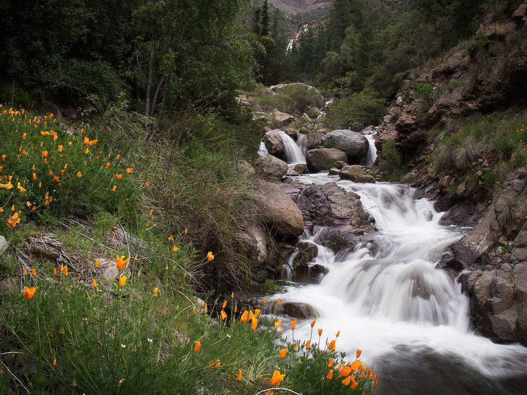 Cascada De Las Animas 圣阿方索 外观 照片